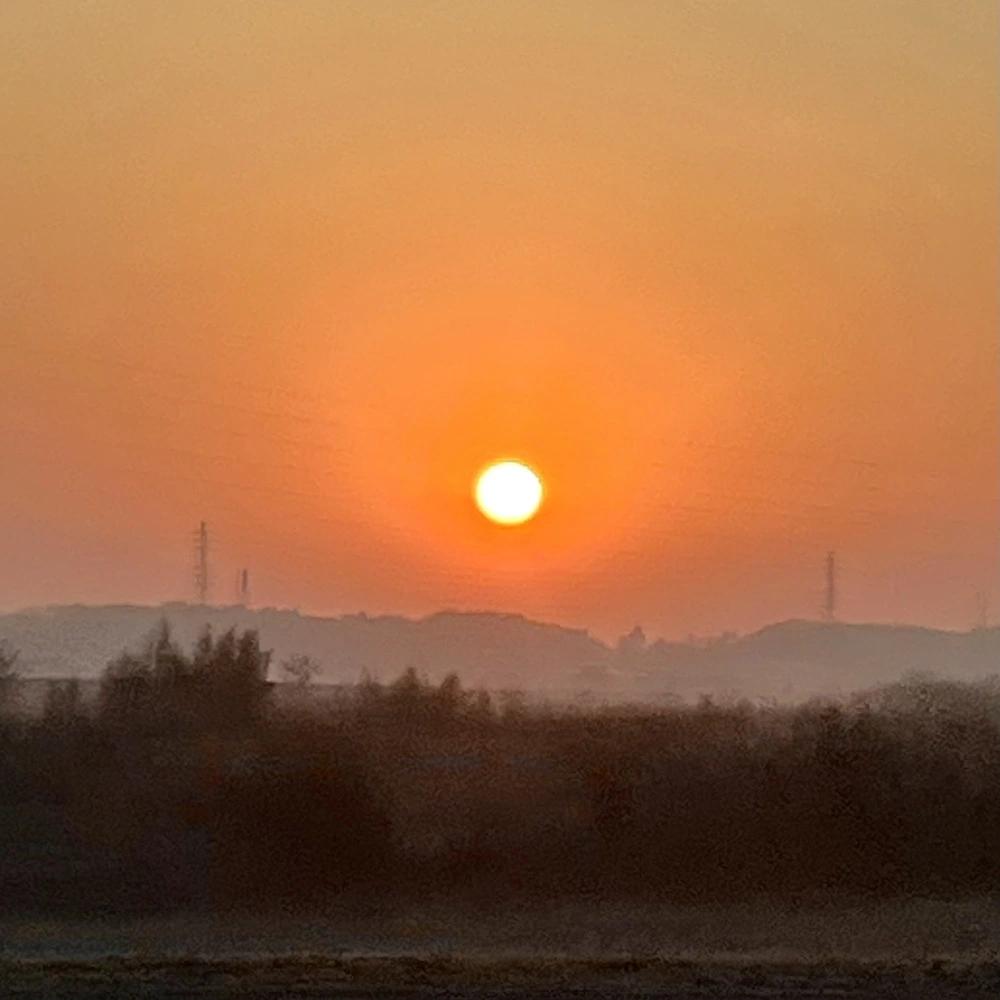 朝